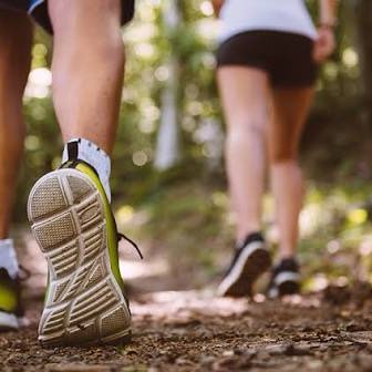 Walk - D - Thon logo