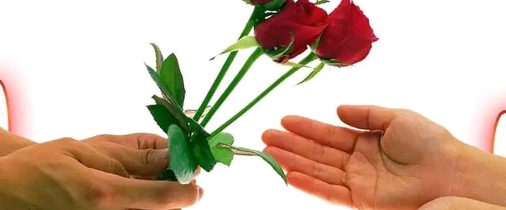 Emma Watson Fan Club banner