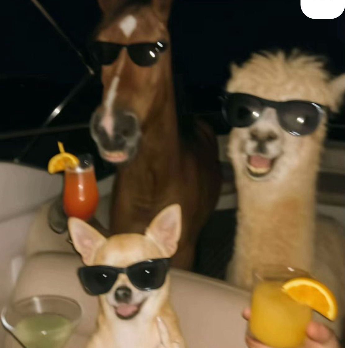 قروب المطانيخ logo