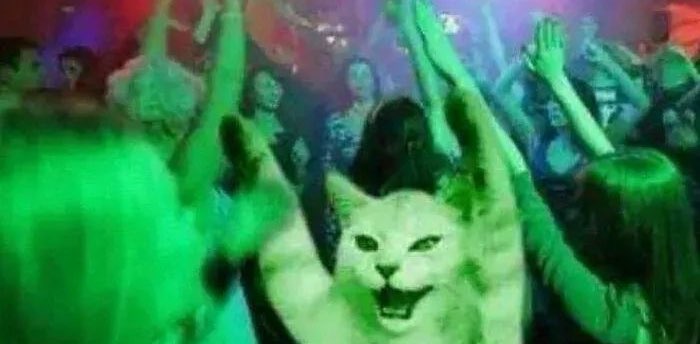 قروب المطانيخ banner