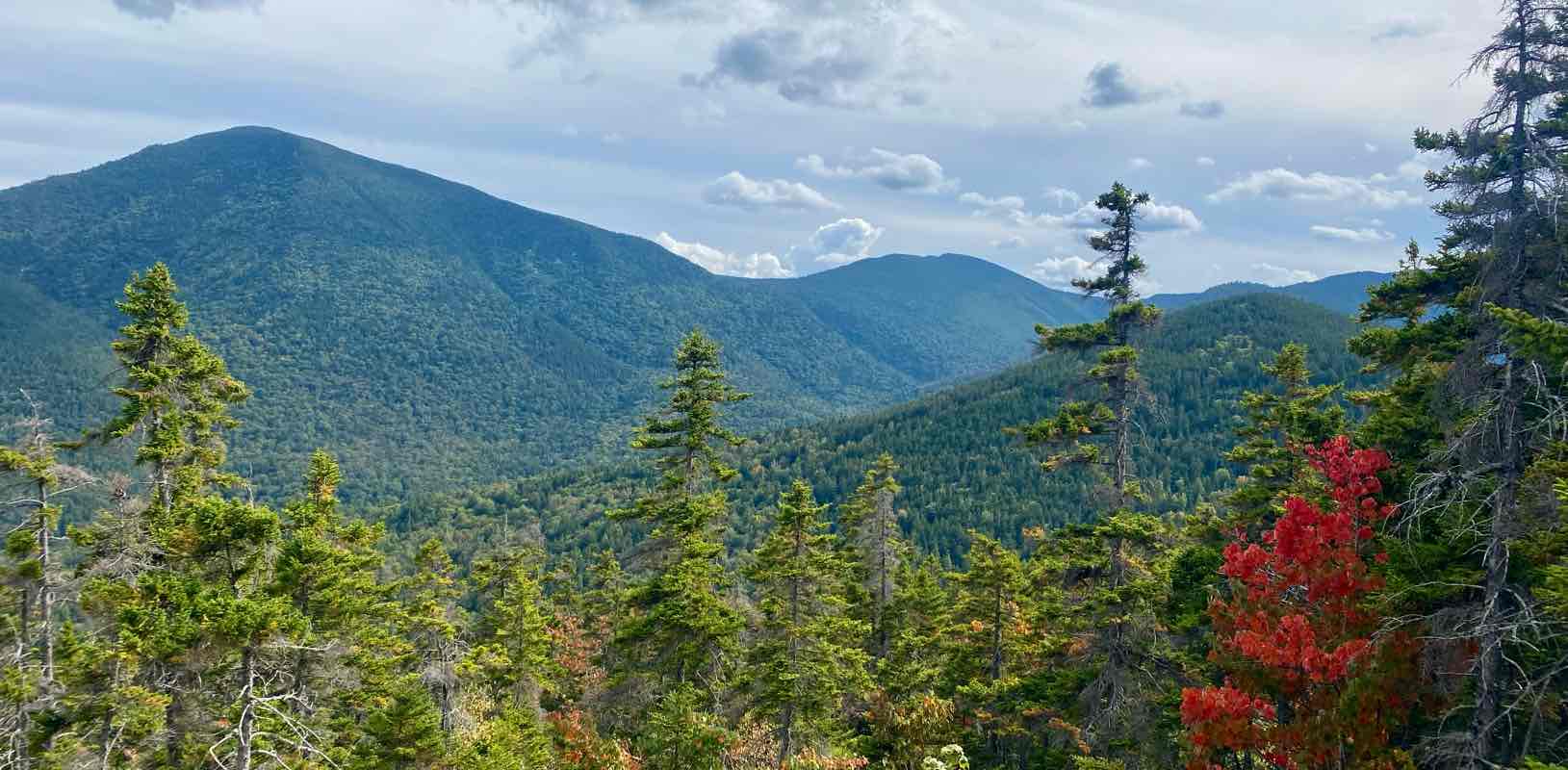 Walking on Sunshine! banner