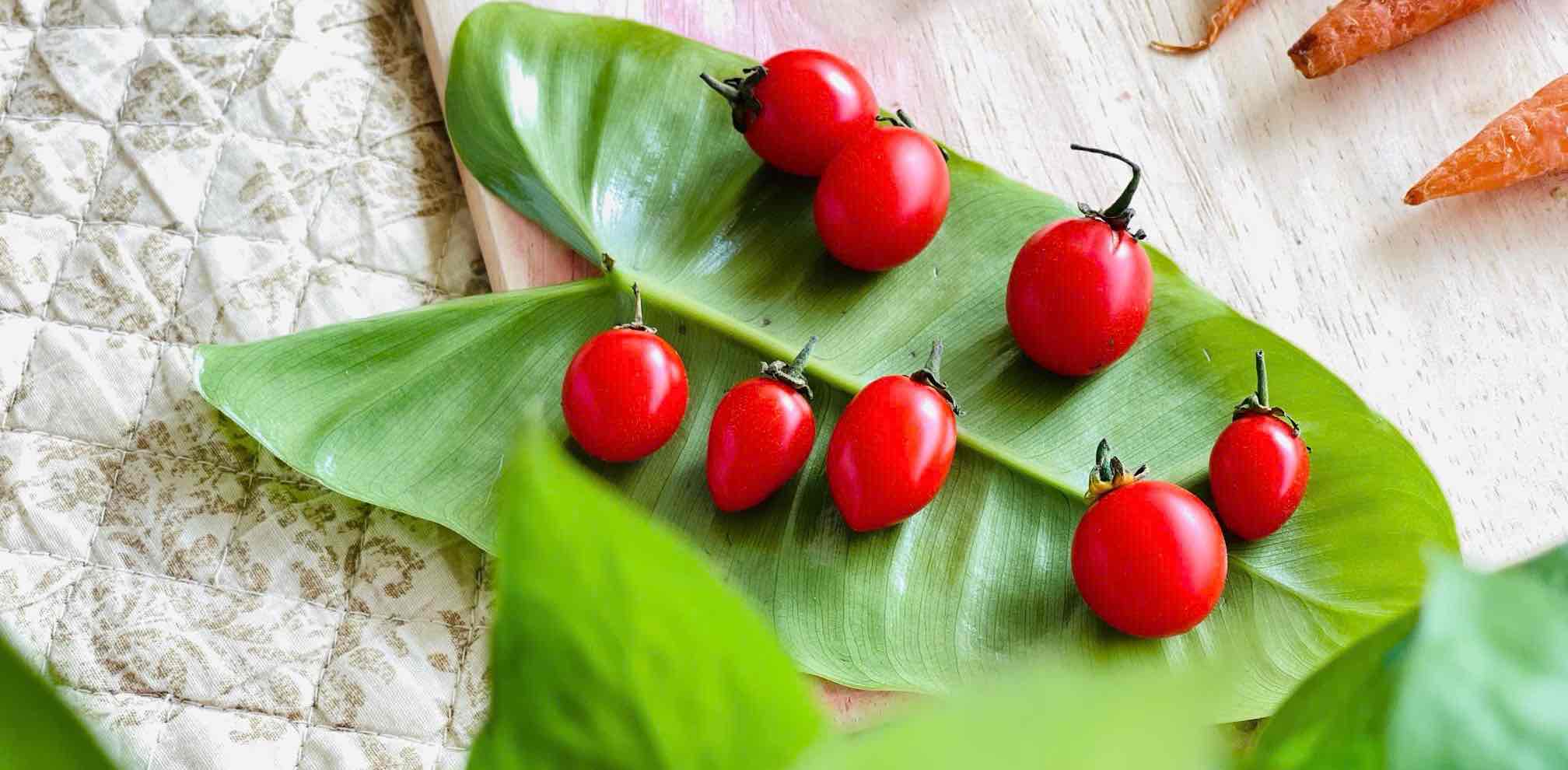 Đi bộ cùng Meo banner