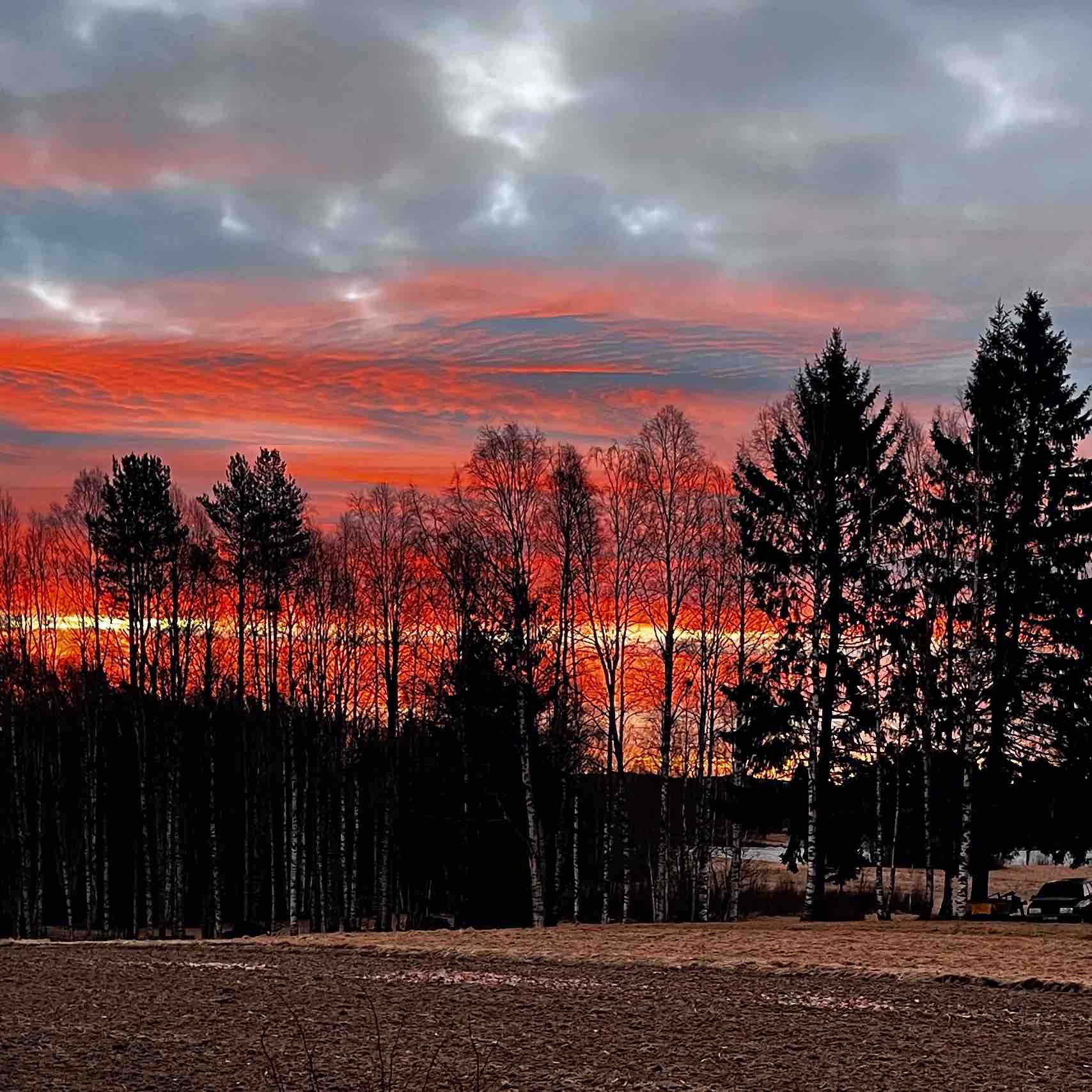 welcome back springtime🌷🌷✨✨ logo