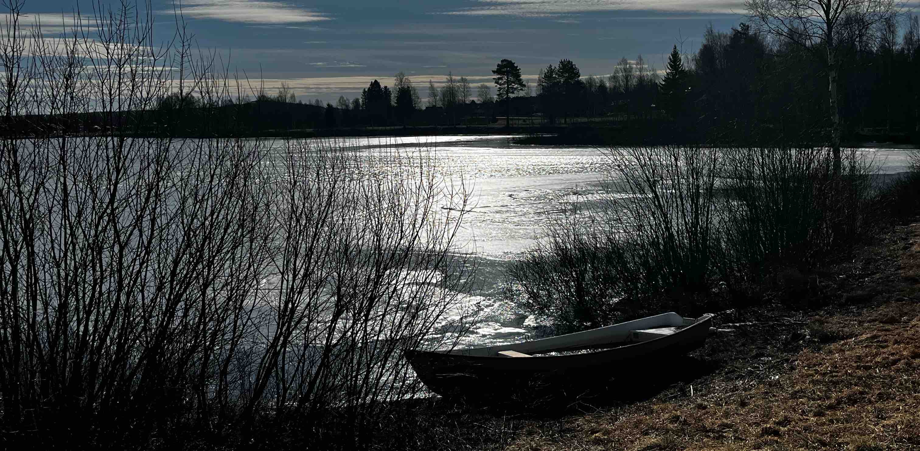 welcome back springtime🌷🌷✨✨ banner