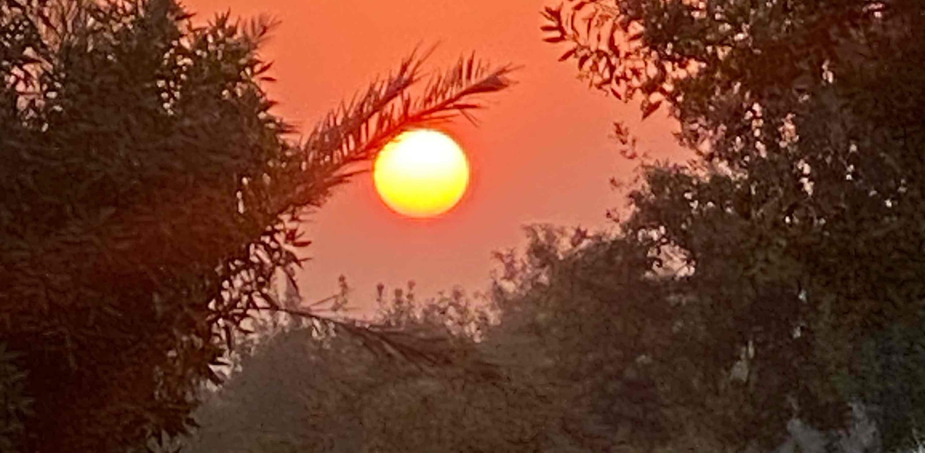 Pacer Family Club  banner