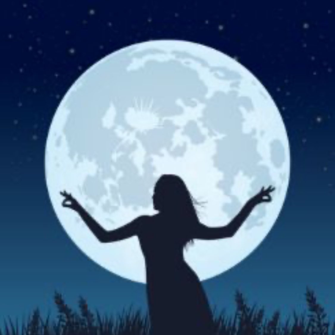 Pacer Family Club  logo