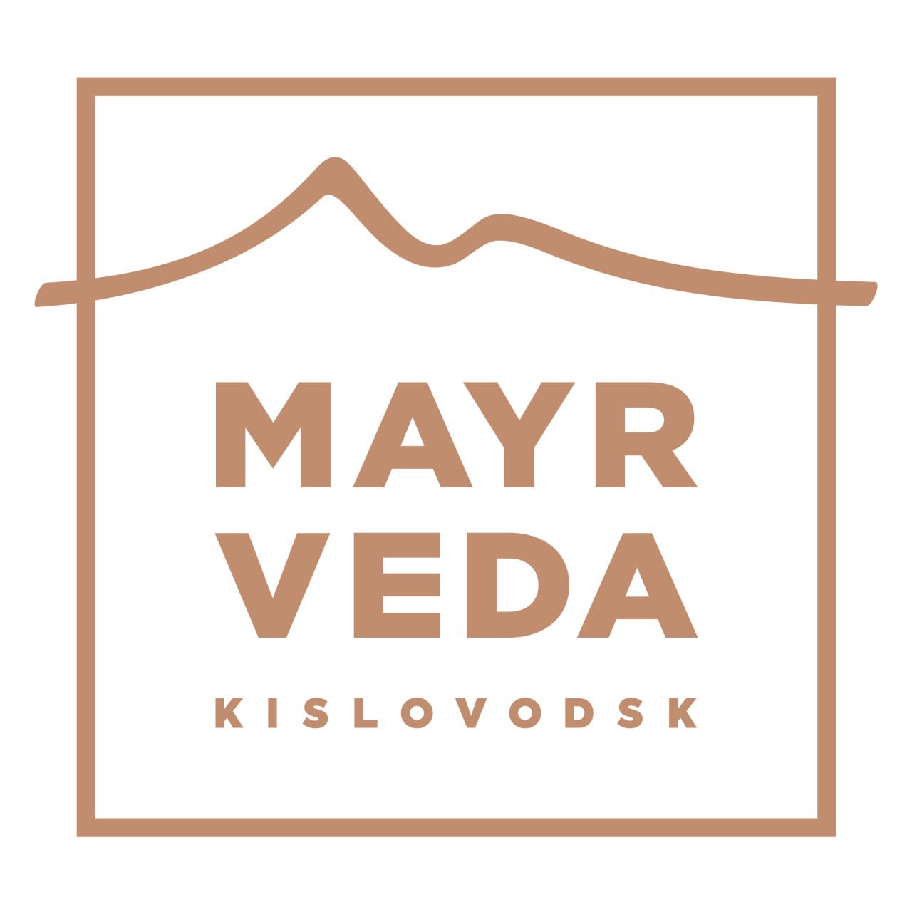 Mayrveda RUN logo