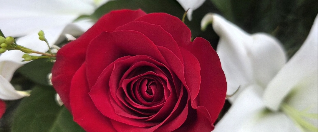 💙TIMELESS💙 banner