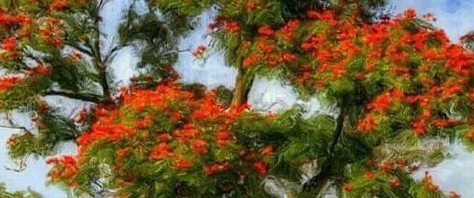 GSK-Long Chau Heroes 10k Steps banner