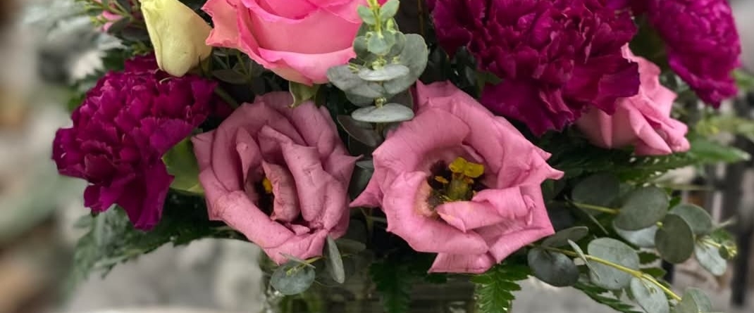 Exploradores🔎 banner