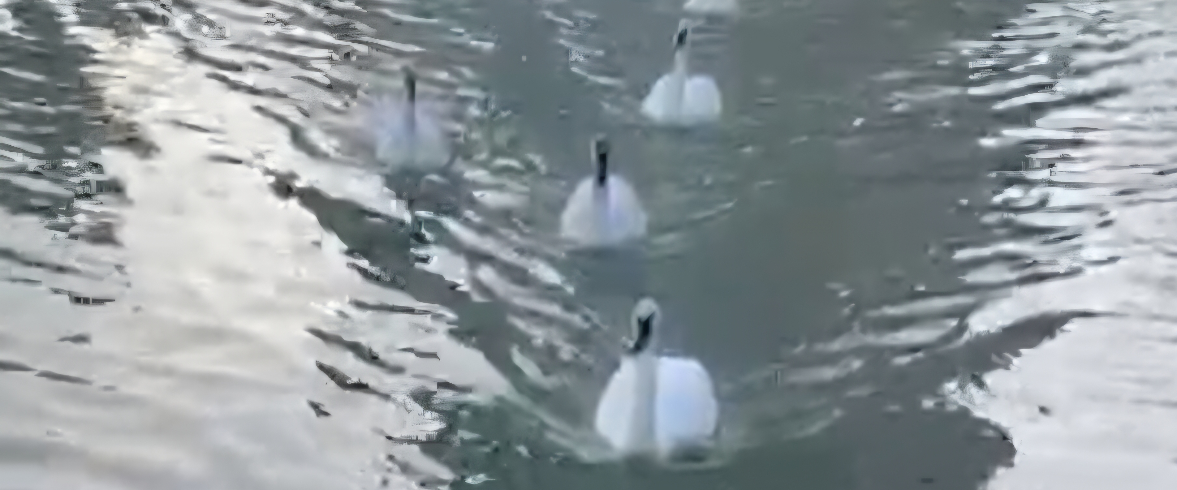 Меретояханефтегаз banner