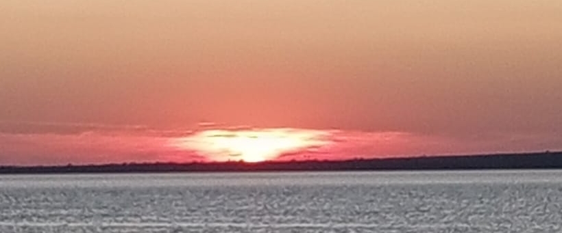 Шагаем вместе banner