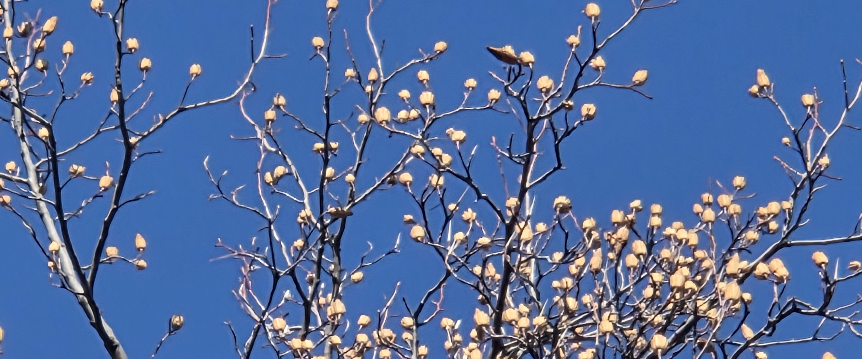 💕SLOWLY WE GO FAR 💕 banner