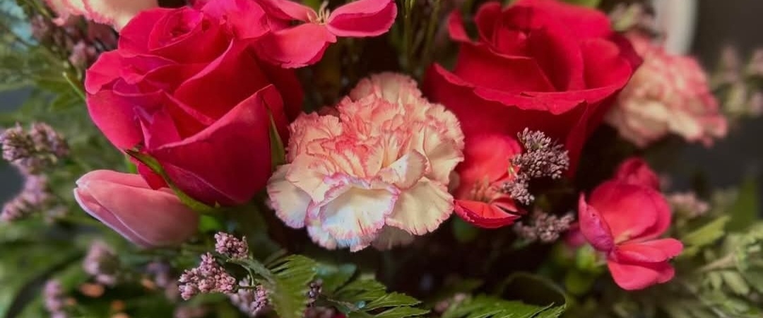 CUBA 🇨🇺 PACERS banner