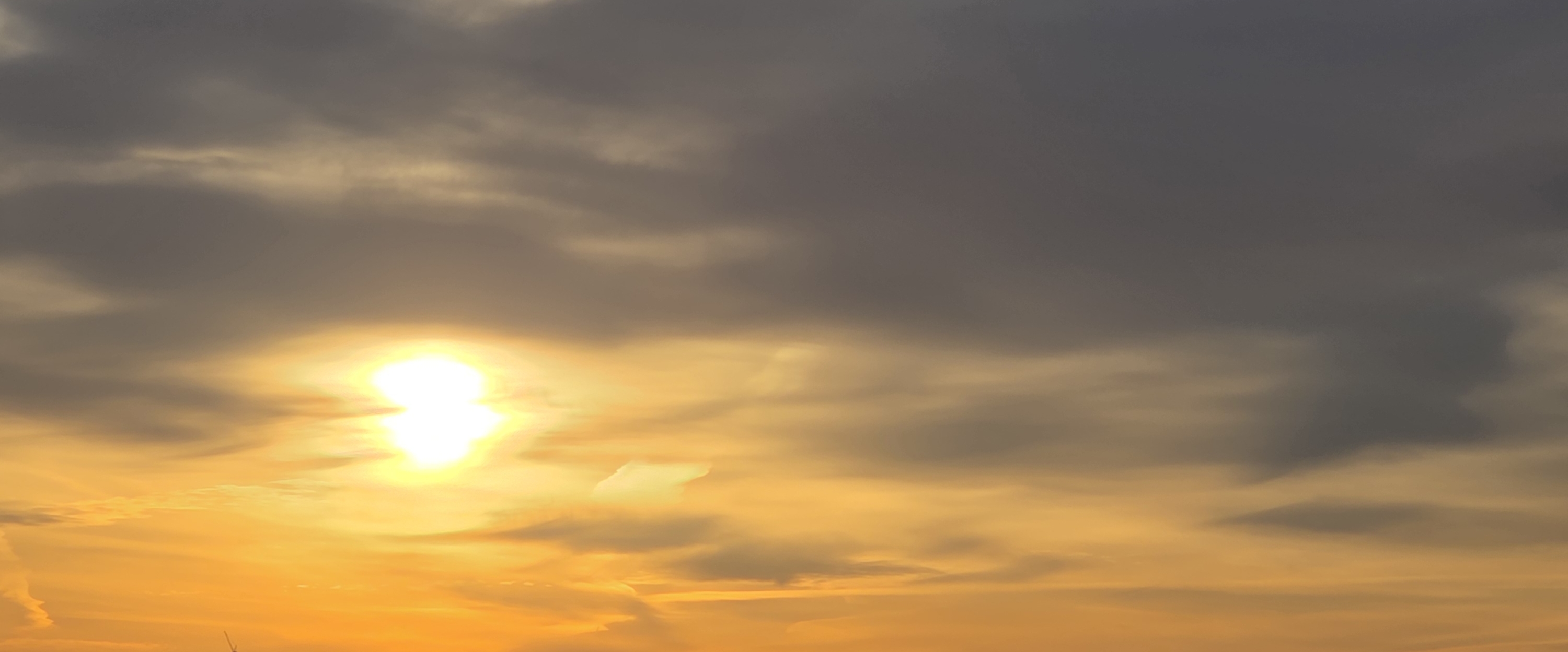 TAQEEM - تقييم banner