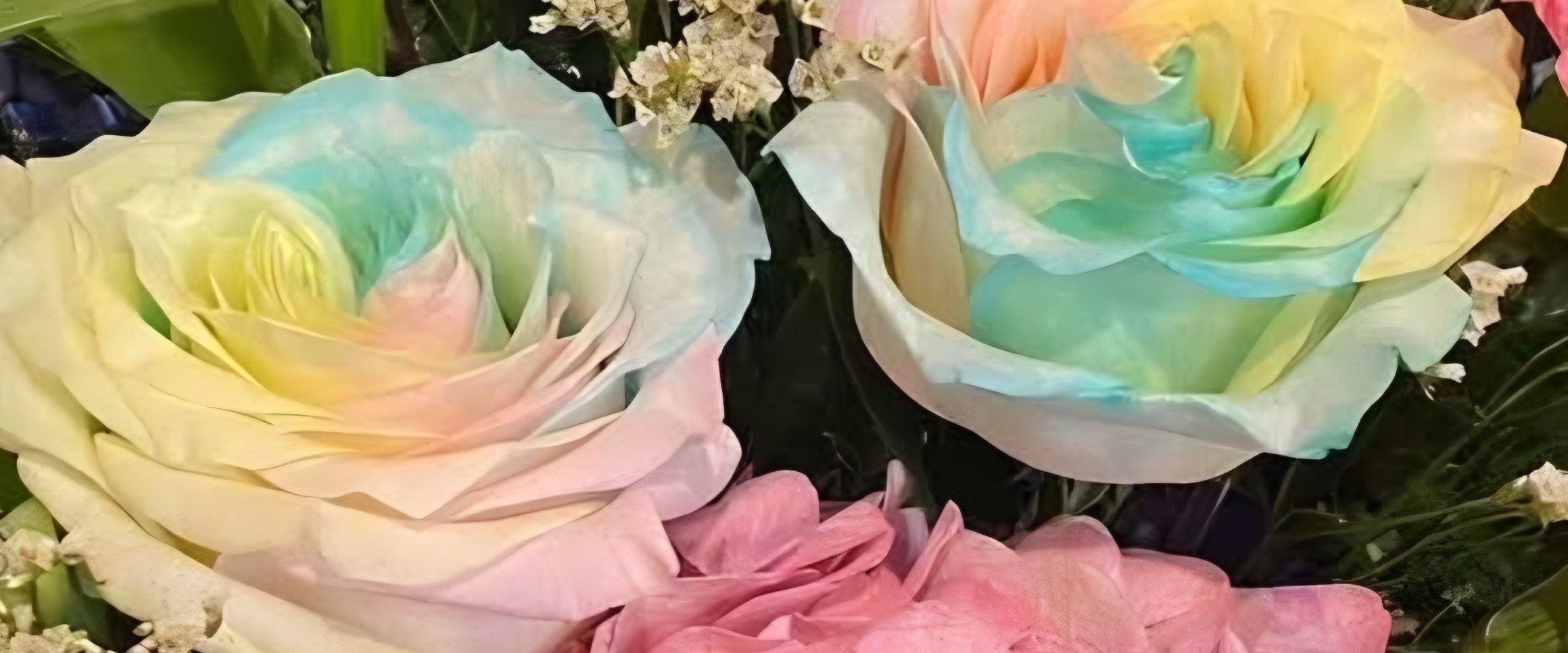 🎊NICE STEPS🎊 banner