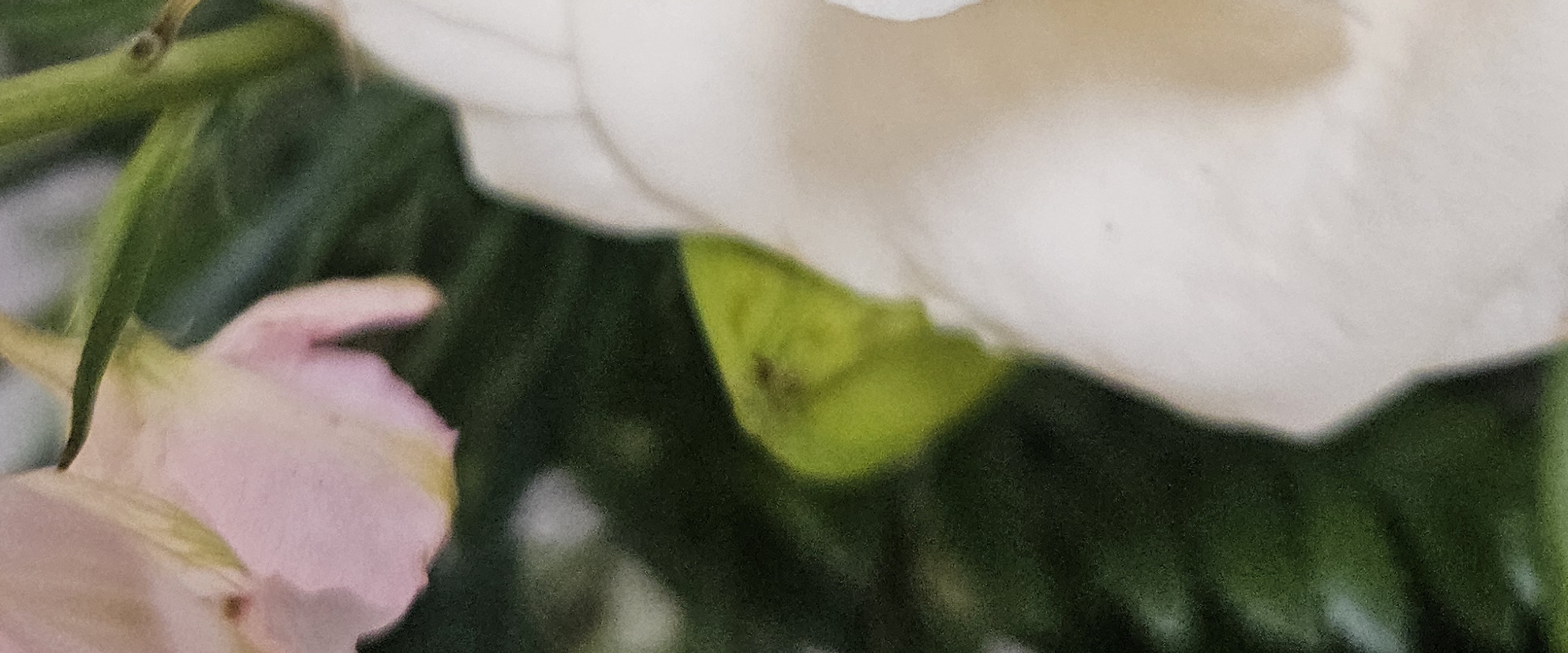 💜WALKING/RUNNING 💜 banner