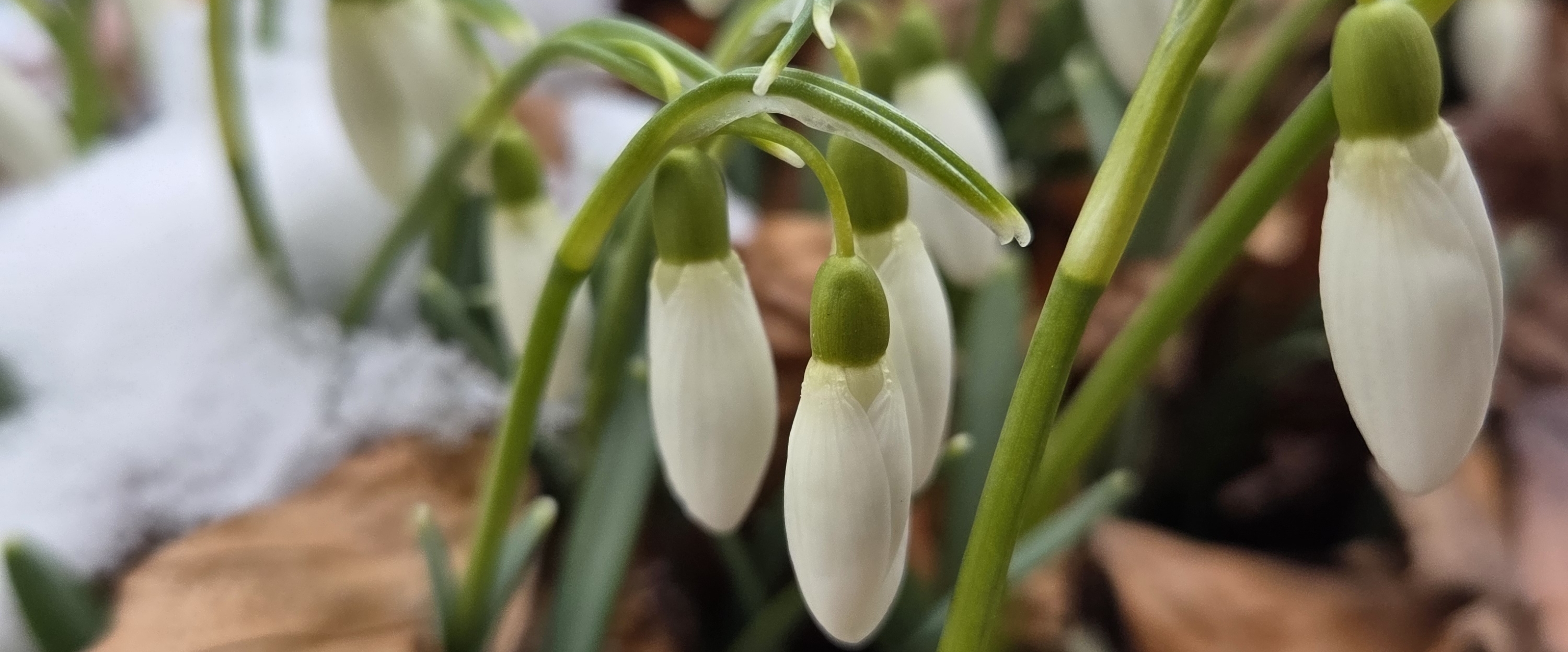 Худеем вмести banner