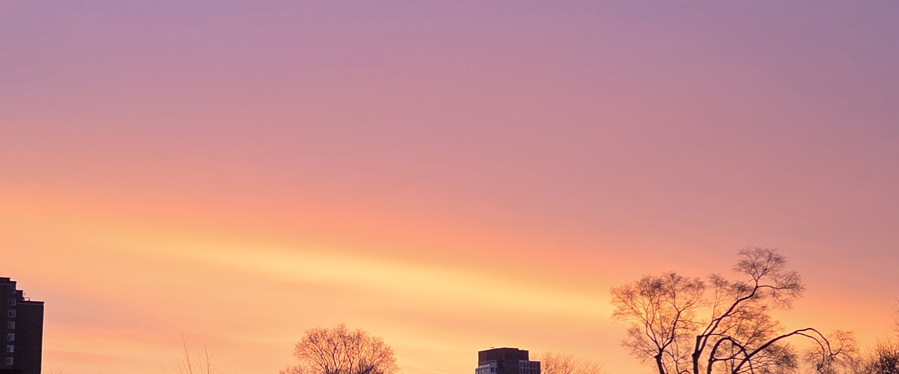 ☘️SPRING STEPS☘️ banner