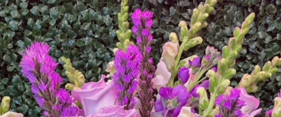 RenewU Step Up Club banner