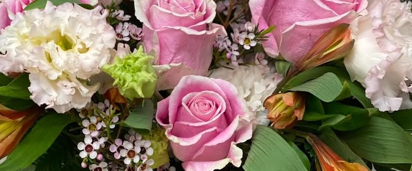 🚶‍♂️HAPPY WALKING🚶‍♀️ banner