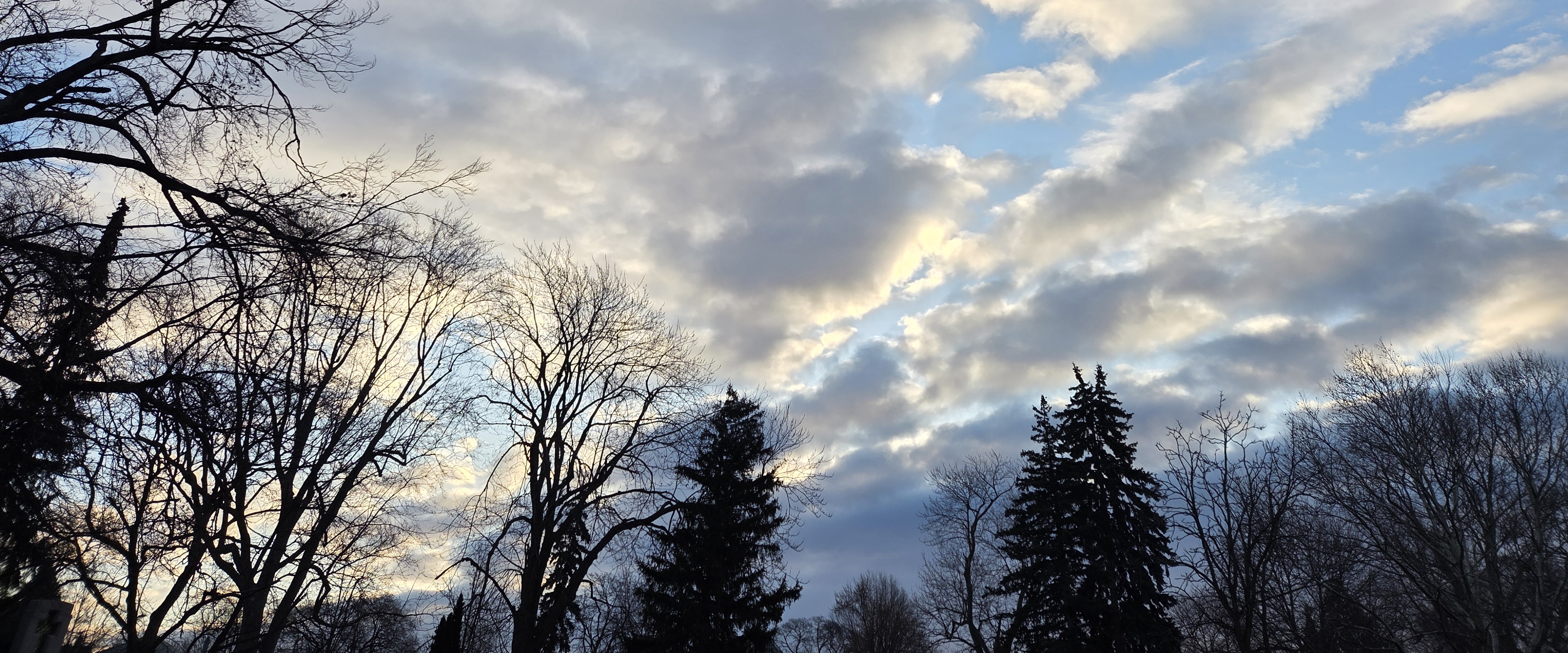 Новосибирск все сюда 👊🏼💪🏻 banner