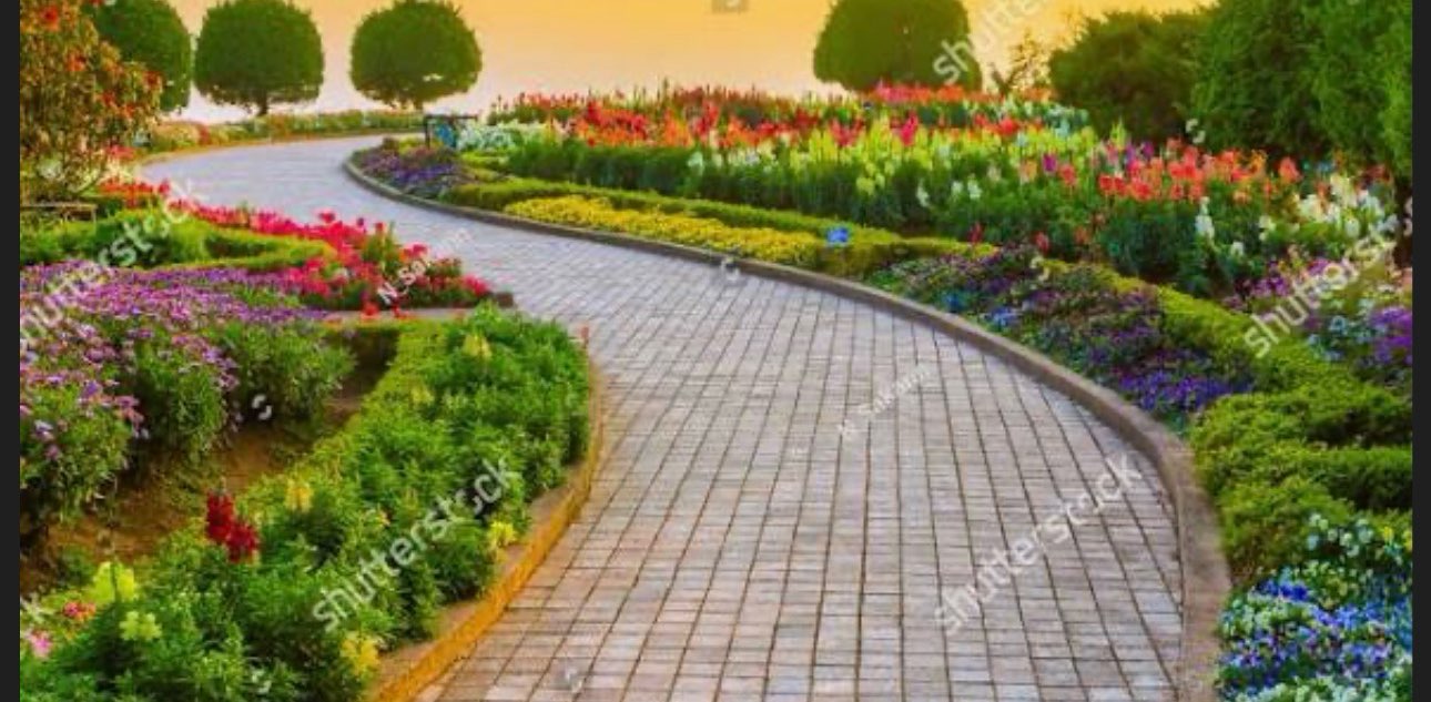 Spring Walking banner