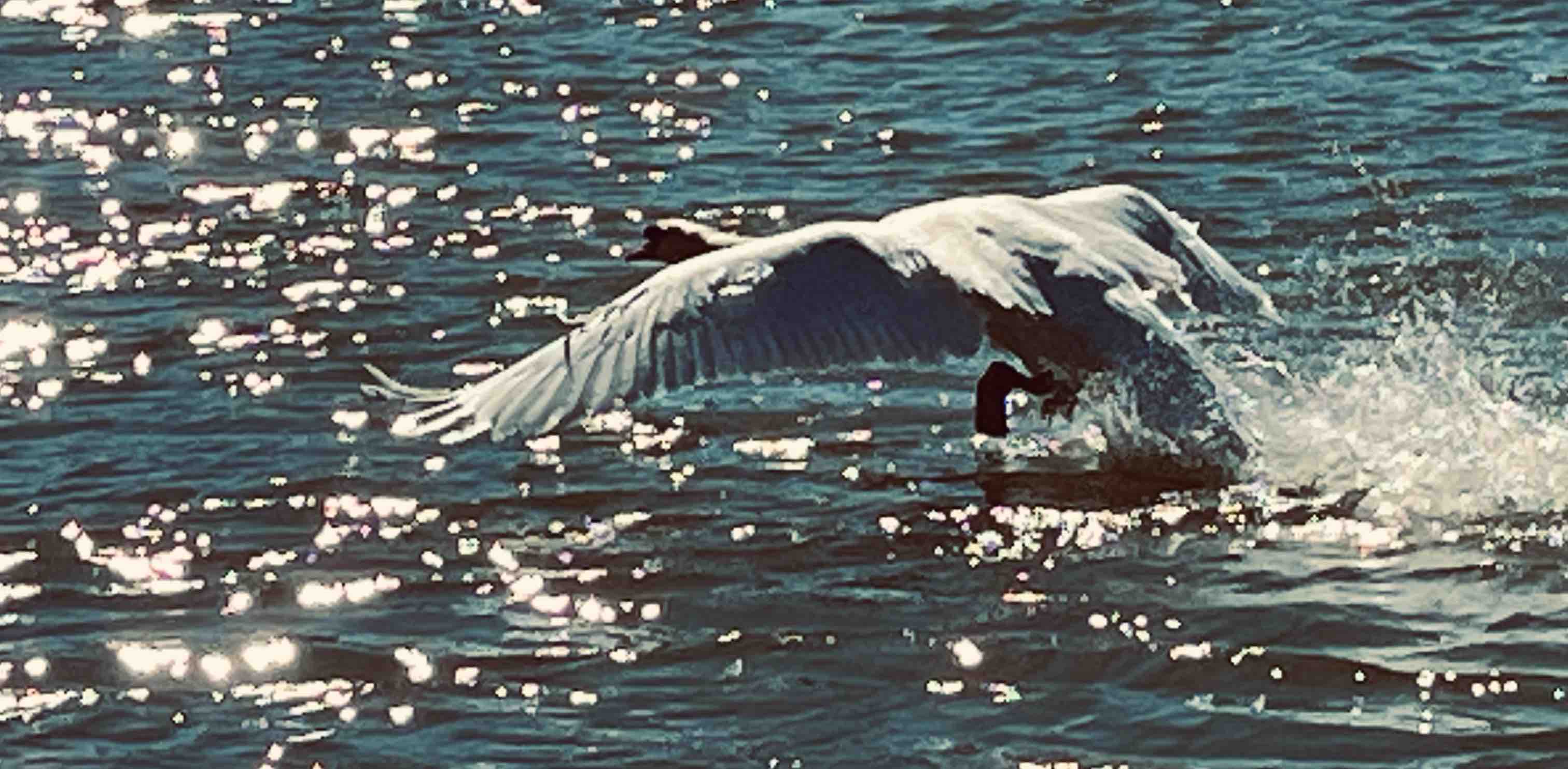 Longue vie en marchant 🥾 banner