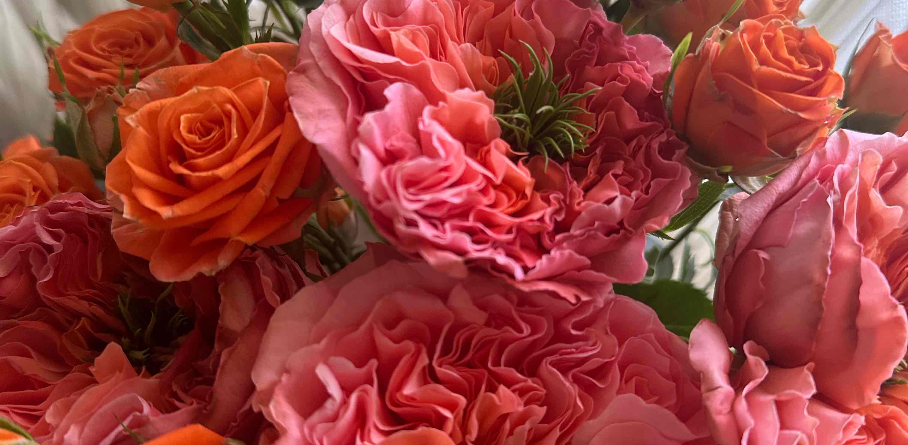 Девочки 💪 banner