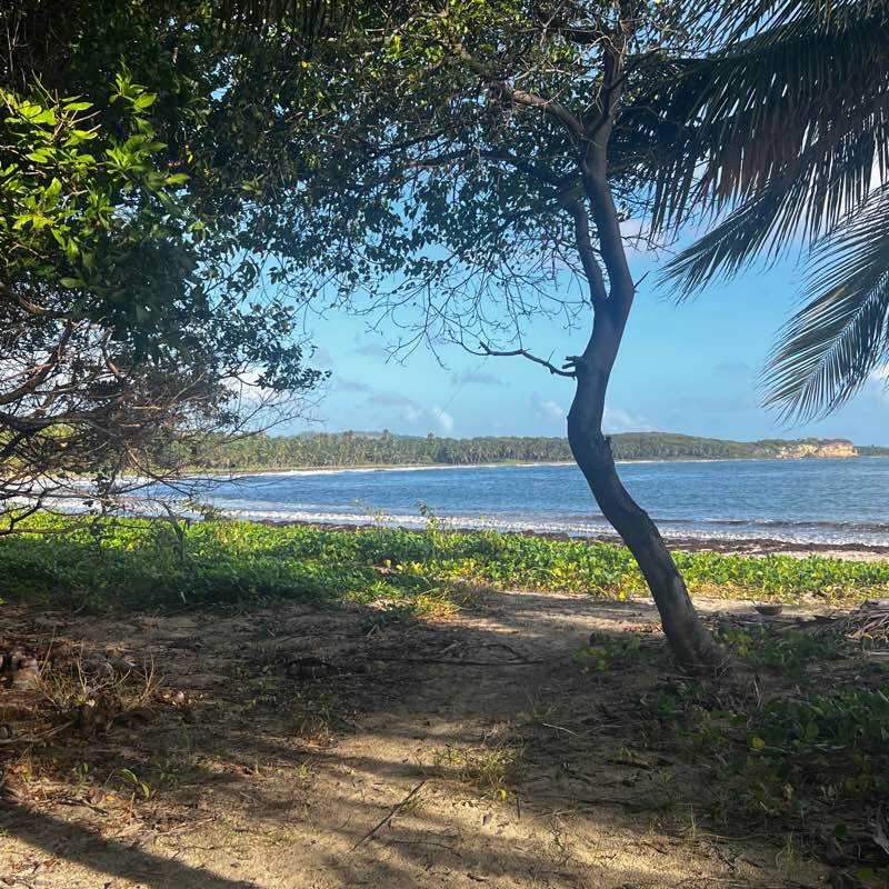 Team Pas après Pas 972 👣 logo