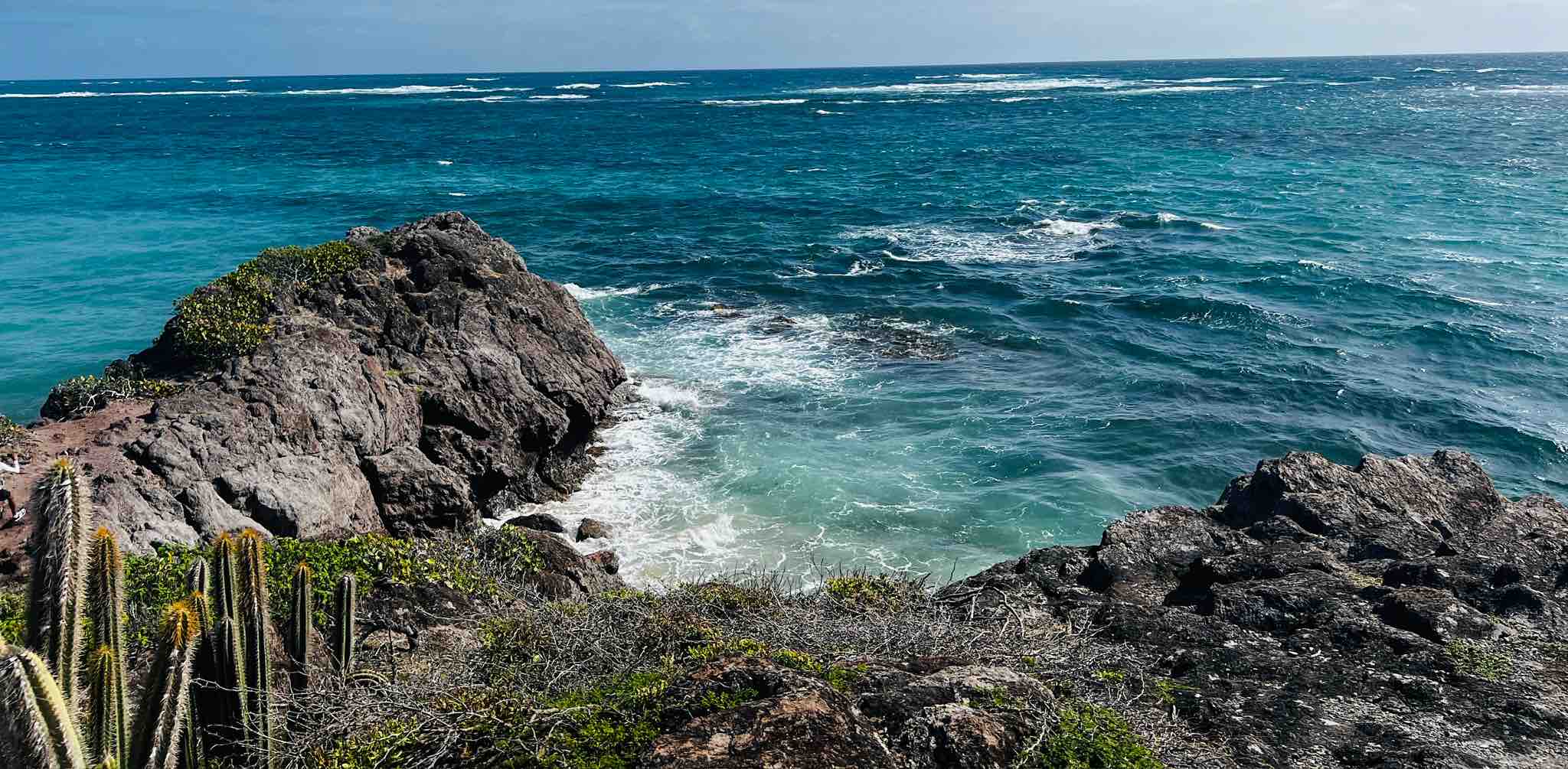 Team Pas après Pas 972 👣 banner