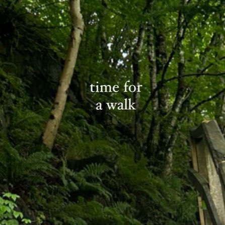 STEPS FOR SUMMER 💪 logo