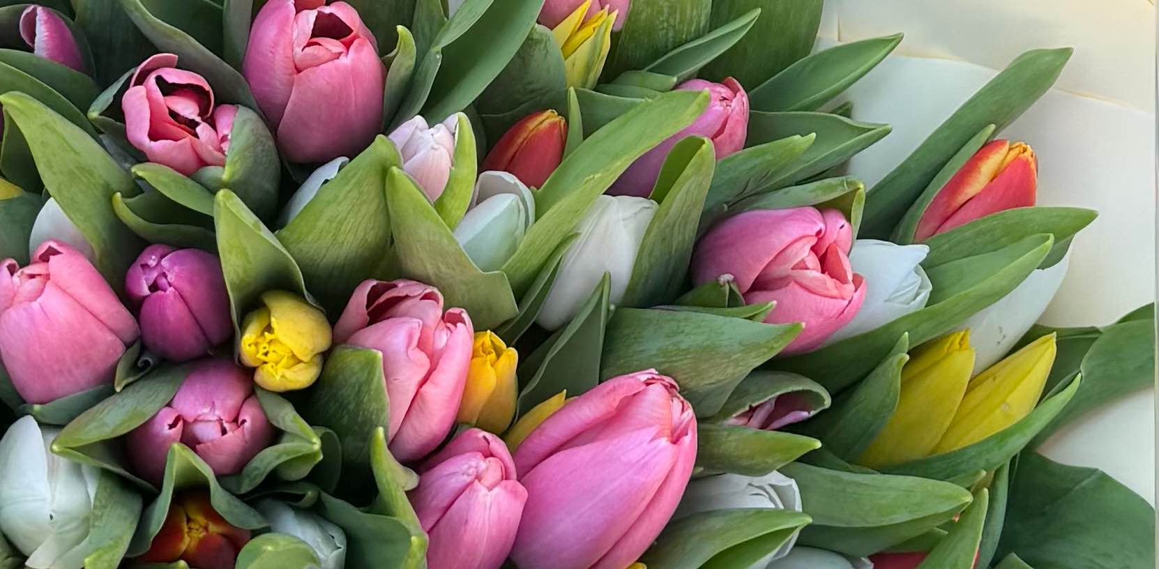 БелкиныПоходы🤍 banner