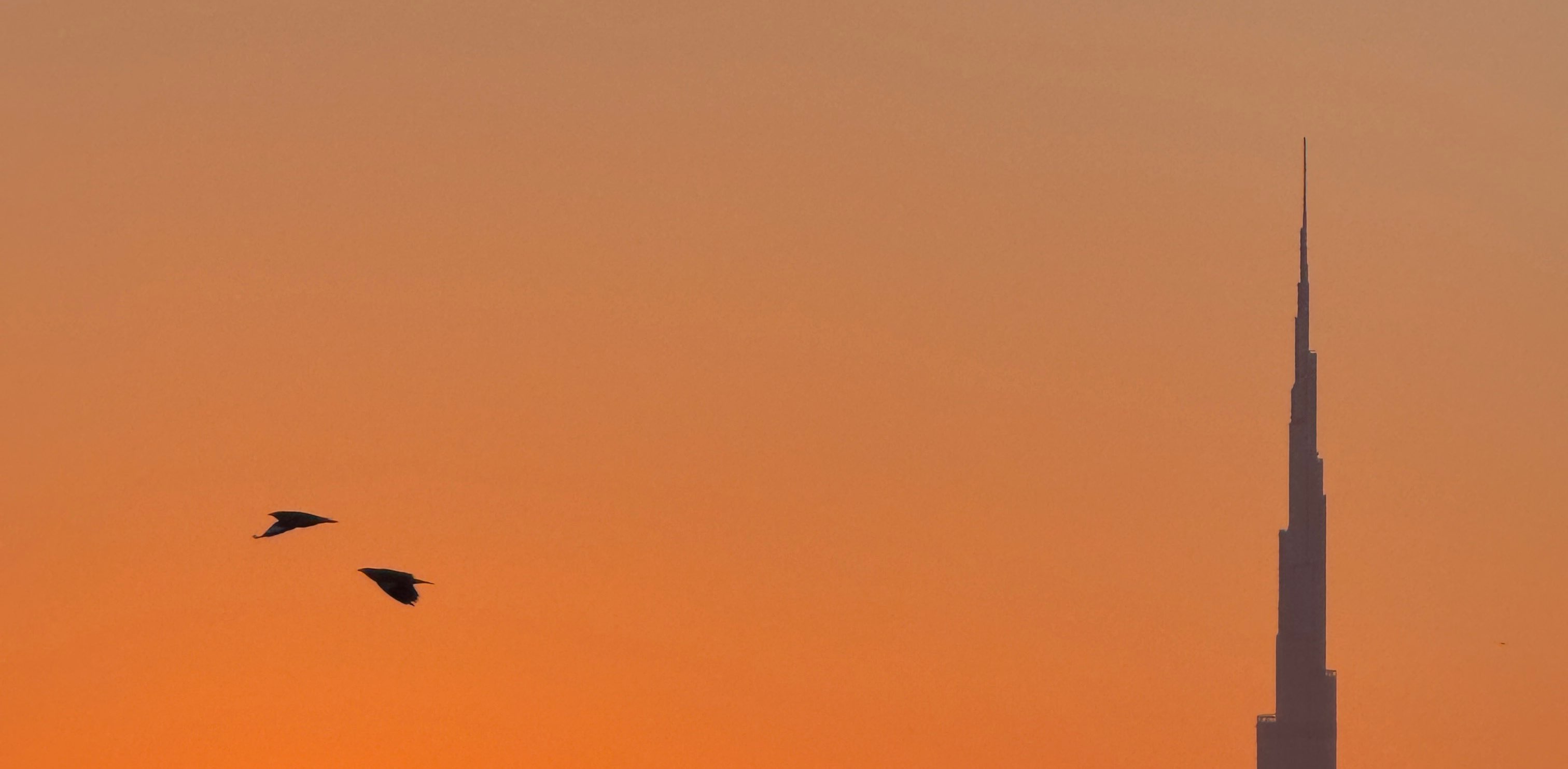 Palakkamannil banner