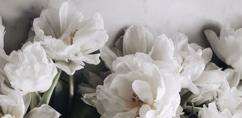 Девчонки banner