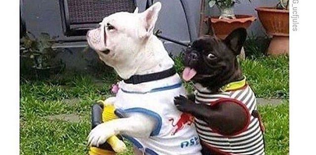 🩷💛 famille 💛🩷 banner