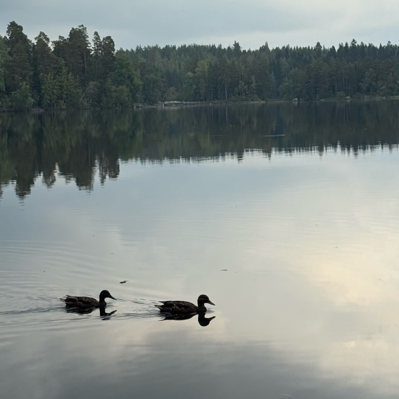 Healthy lifestyle logo