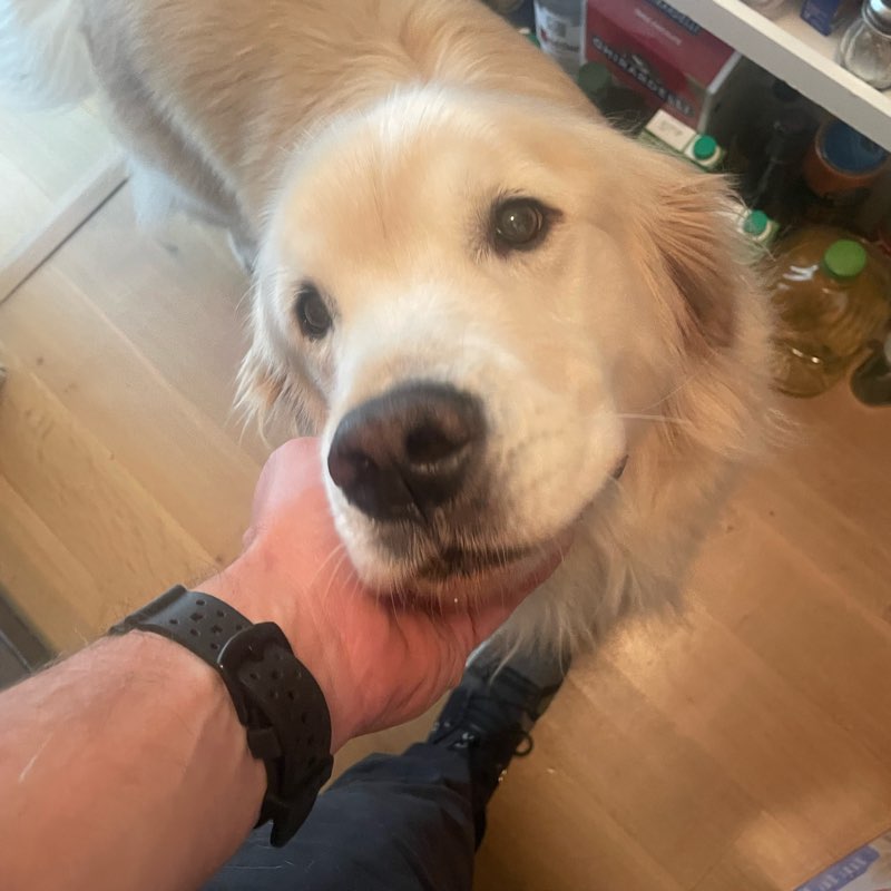 Vall Walk Contest logo