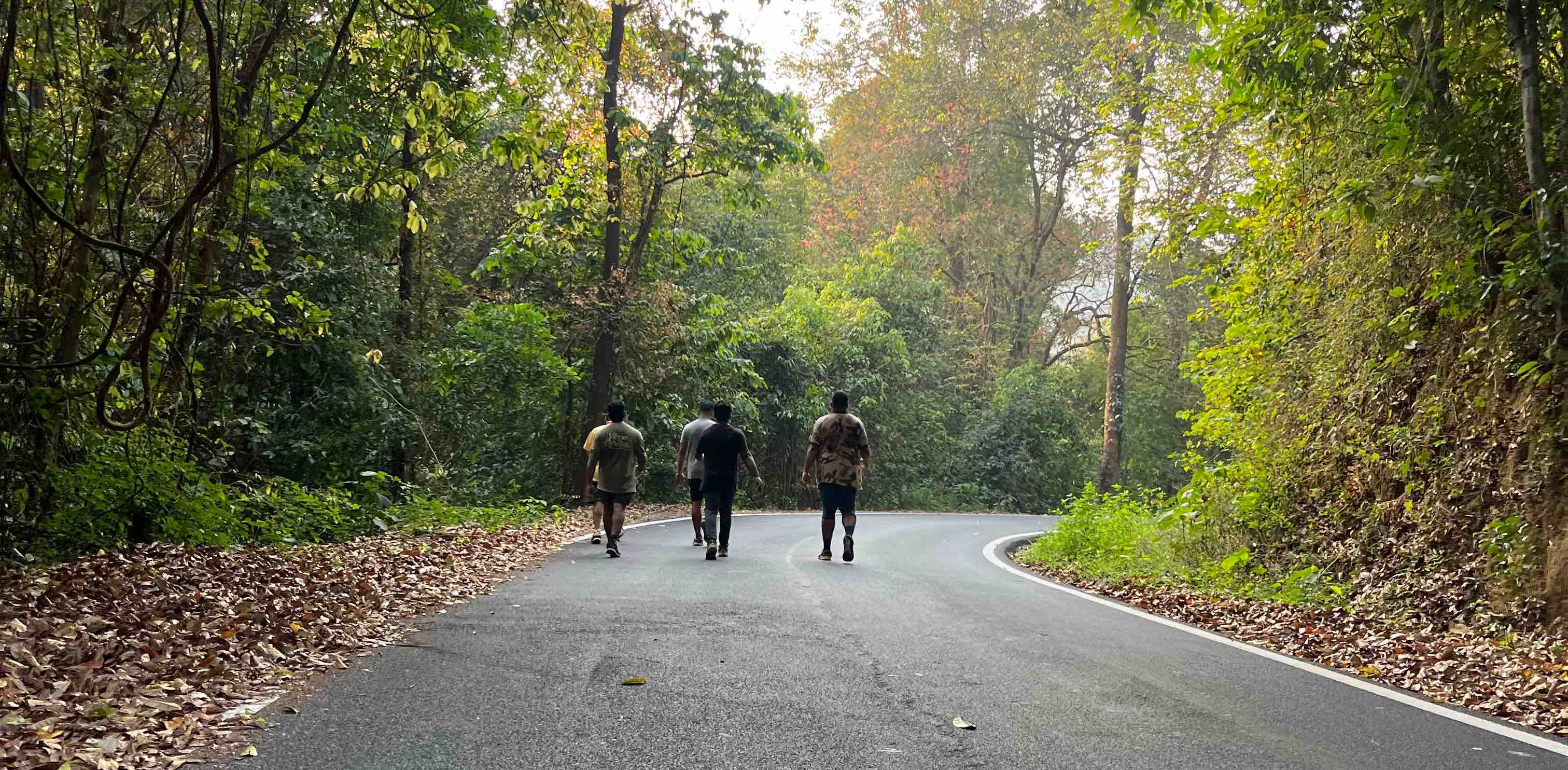 Kukke Subramanya pacers banner