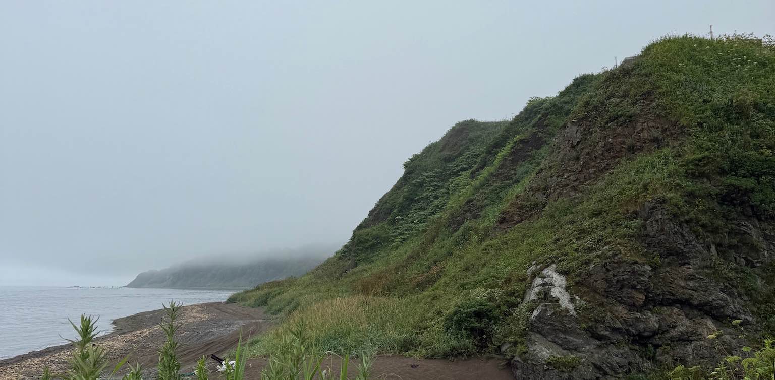 Здоровый PPS banner