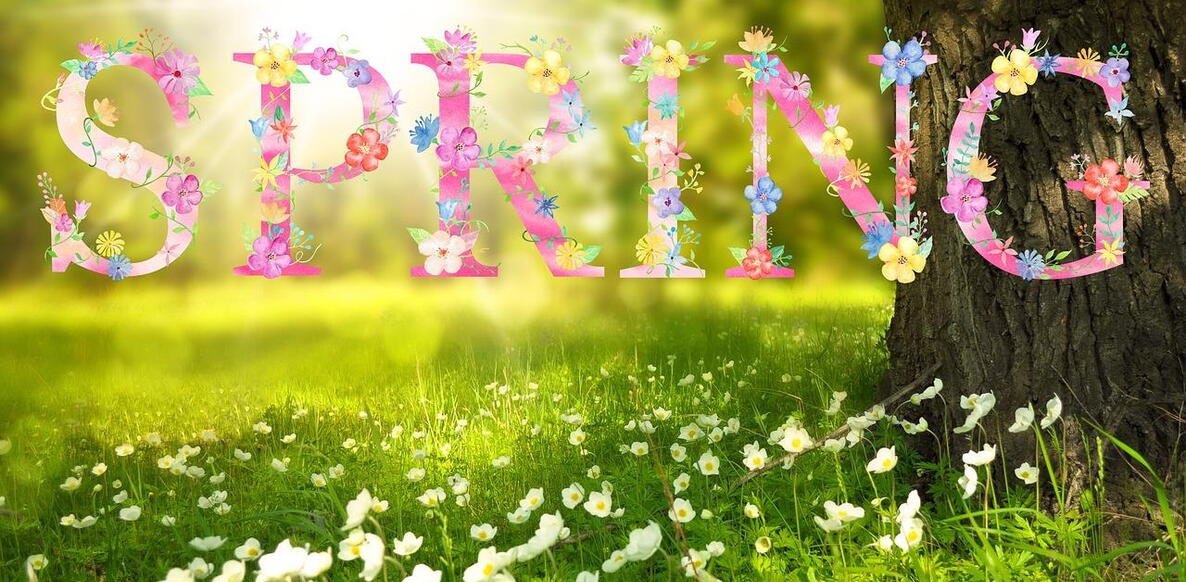 Spring Accountability banner