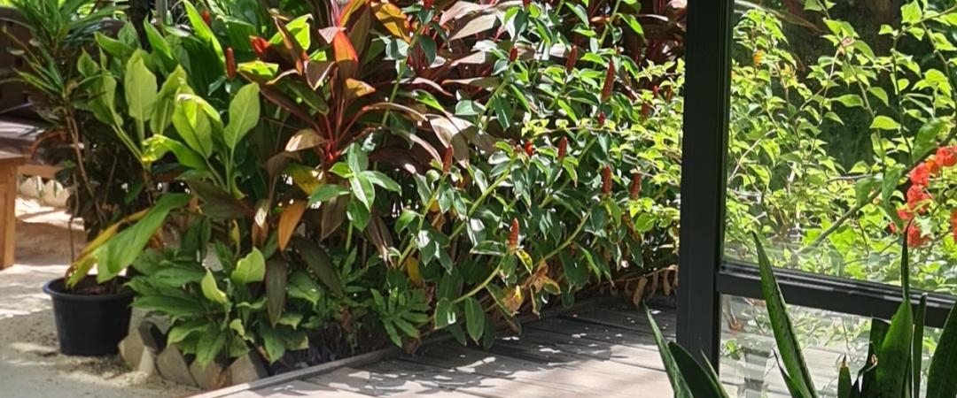 🌼🌹Run Daily 🏃🏼‍♀️🏃🏼‍♂️💚💙 banner