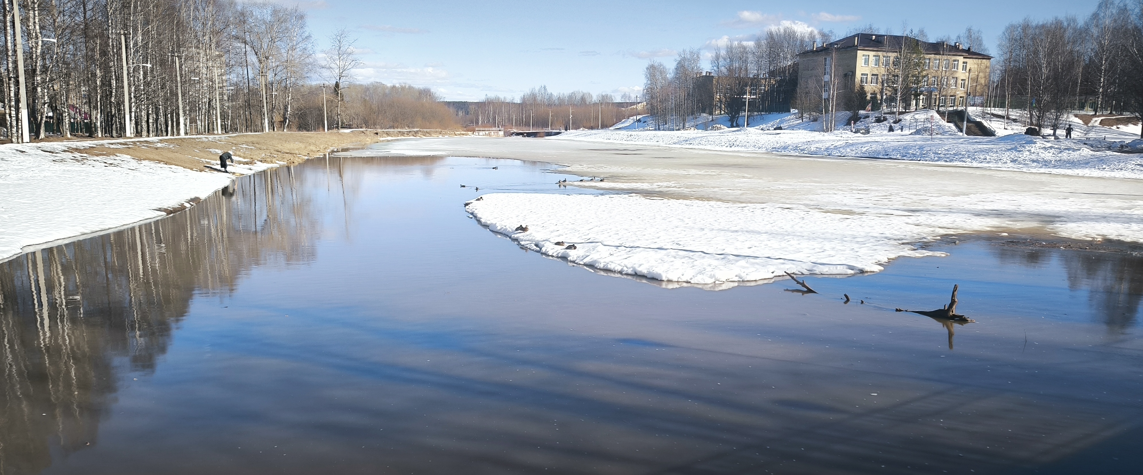 Тело мечты banner