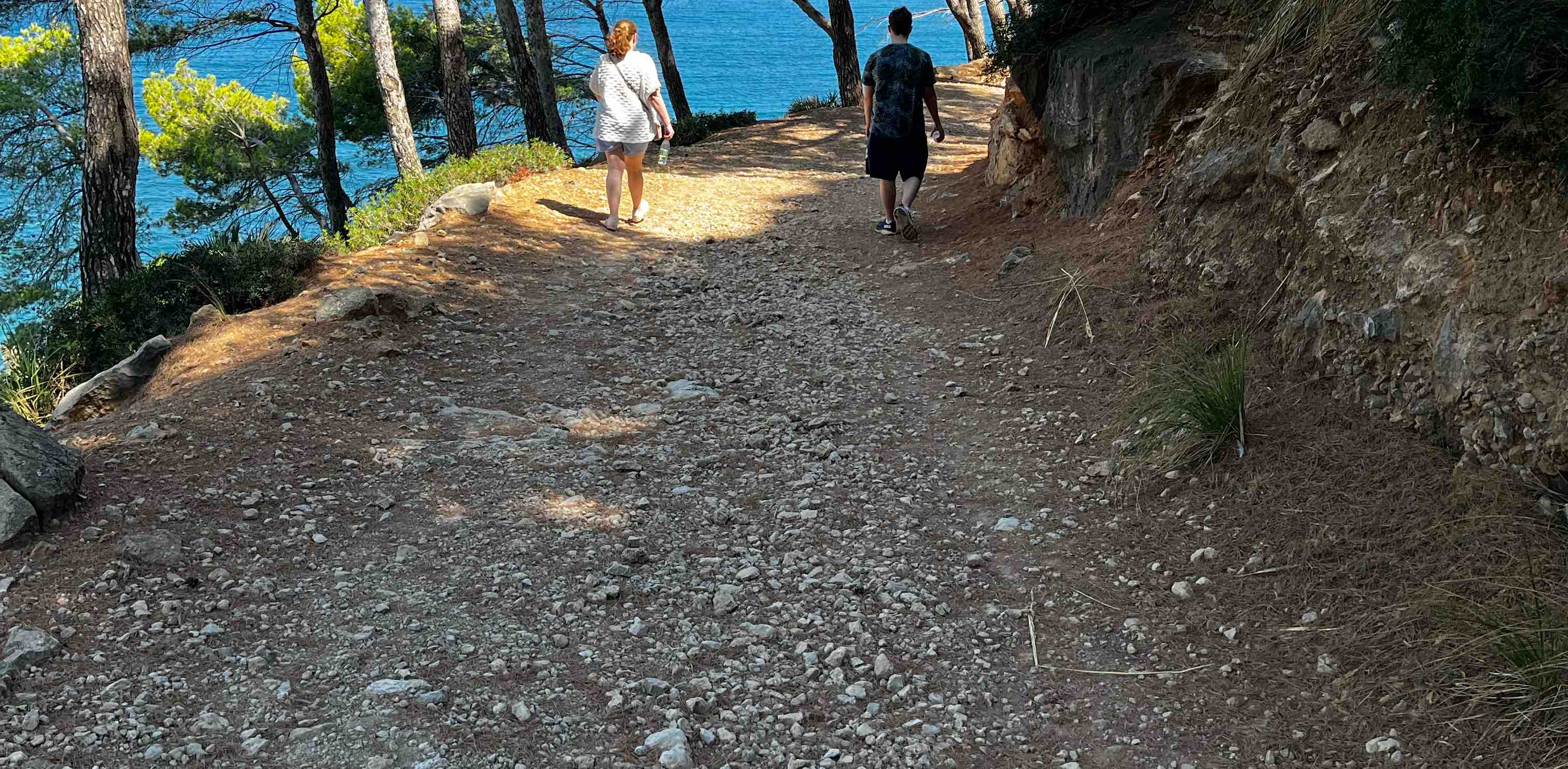 Pajot 🇧🇪 banner