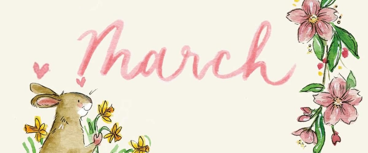 Equipe SINGA Nantes banner