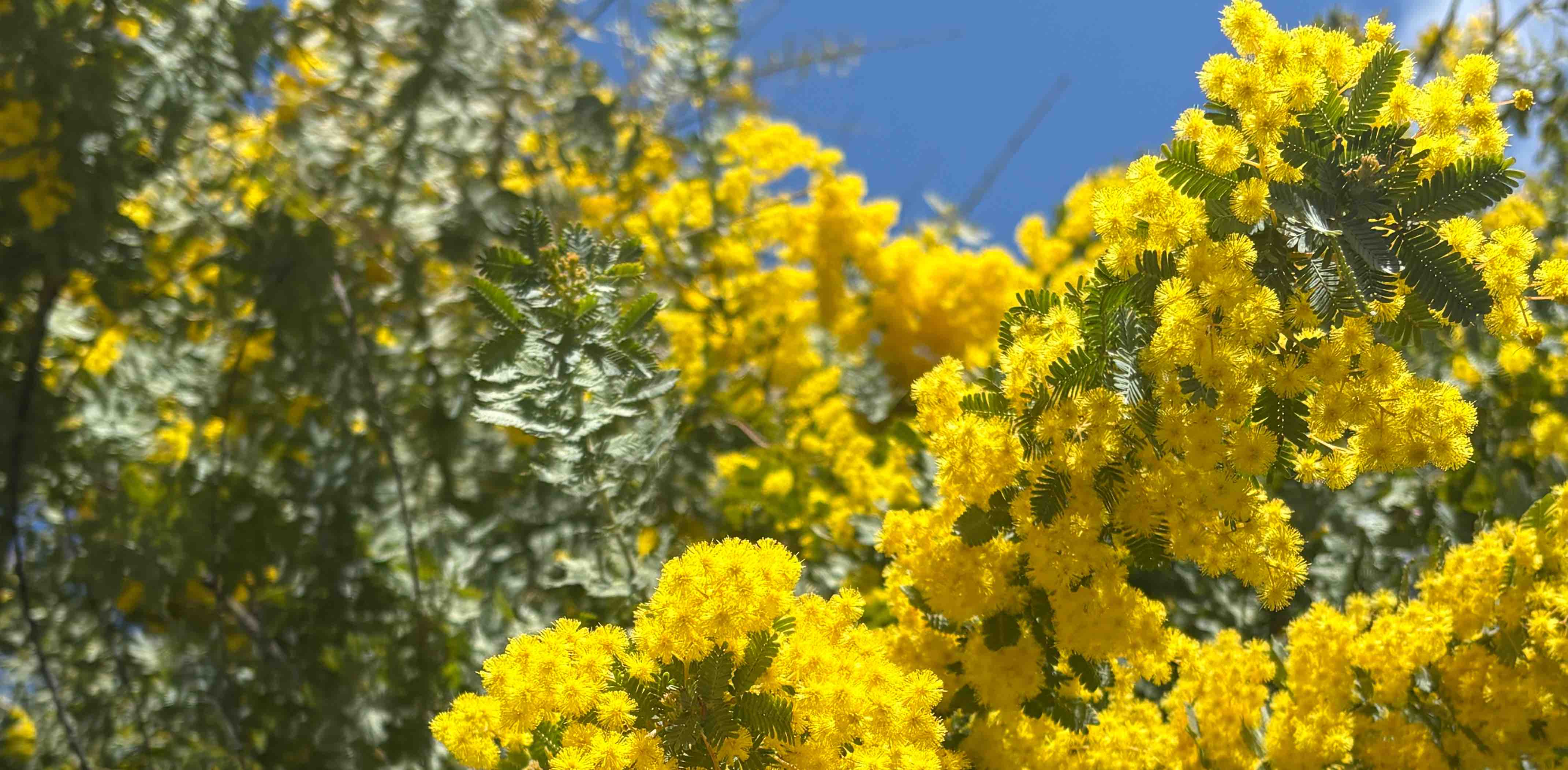 🚶🏻‍➡️関西テクテク🚶‍♀️ banner