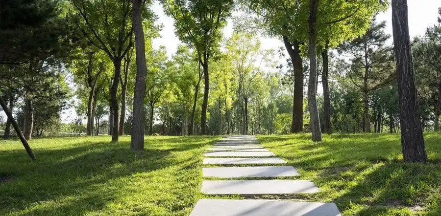 步行不止,Support不息 banner