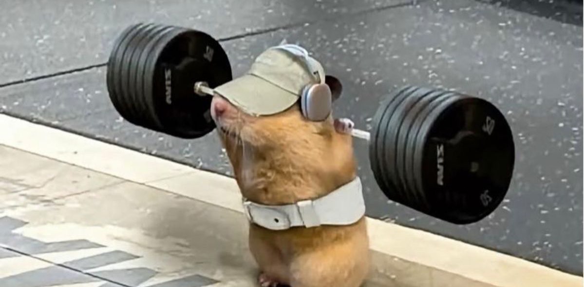 تيم حارقين الخطوات 🔥 banner