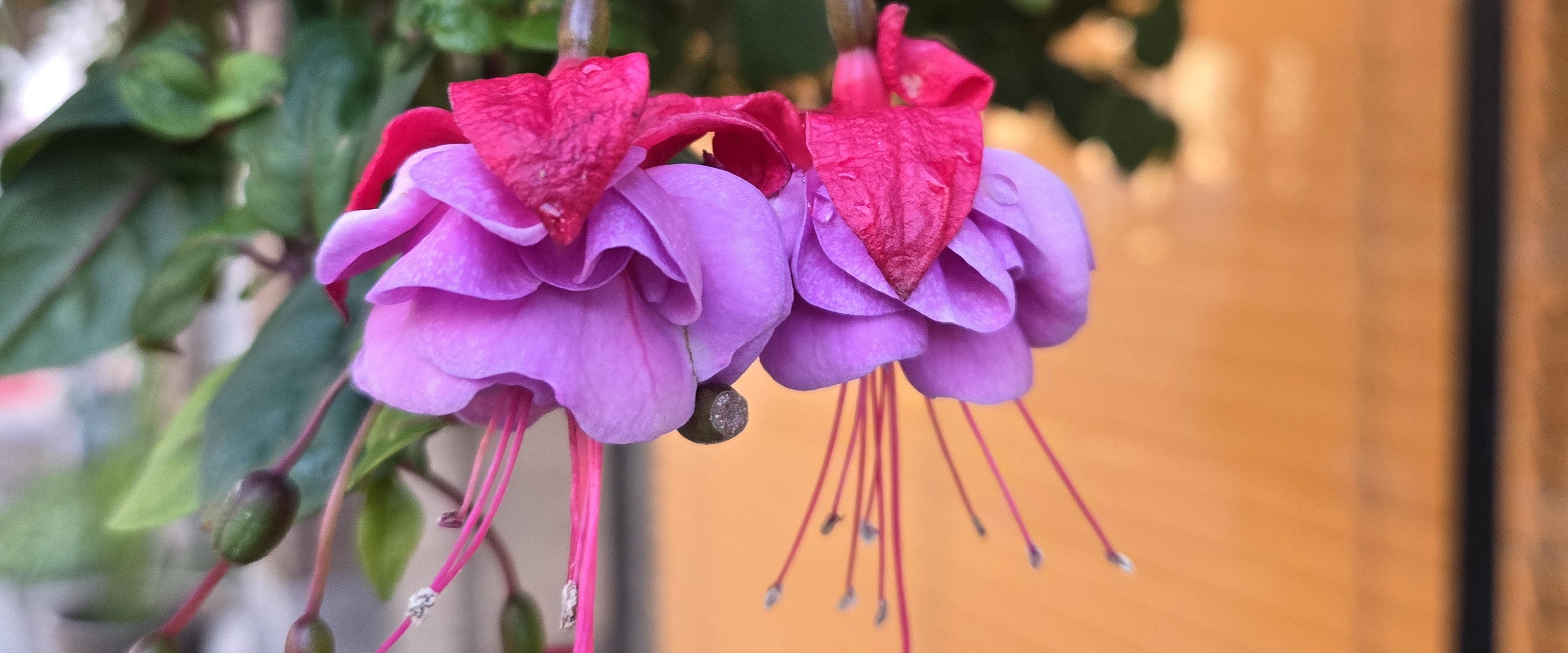 Solo practitioners banner