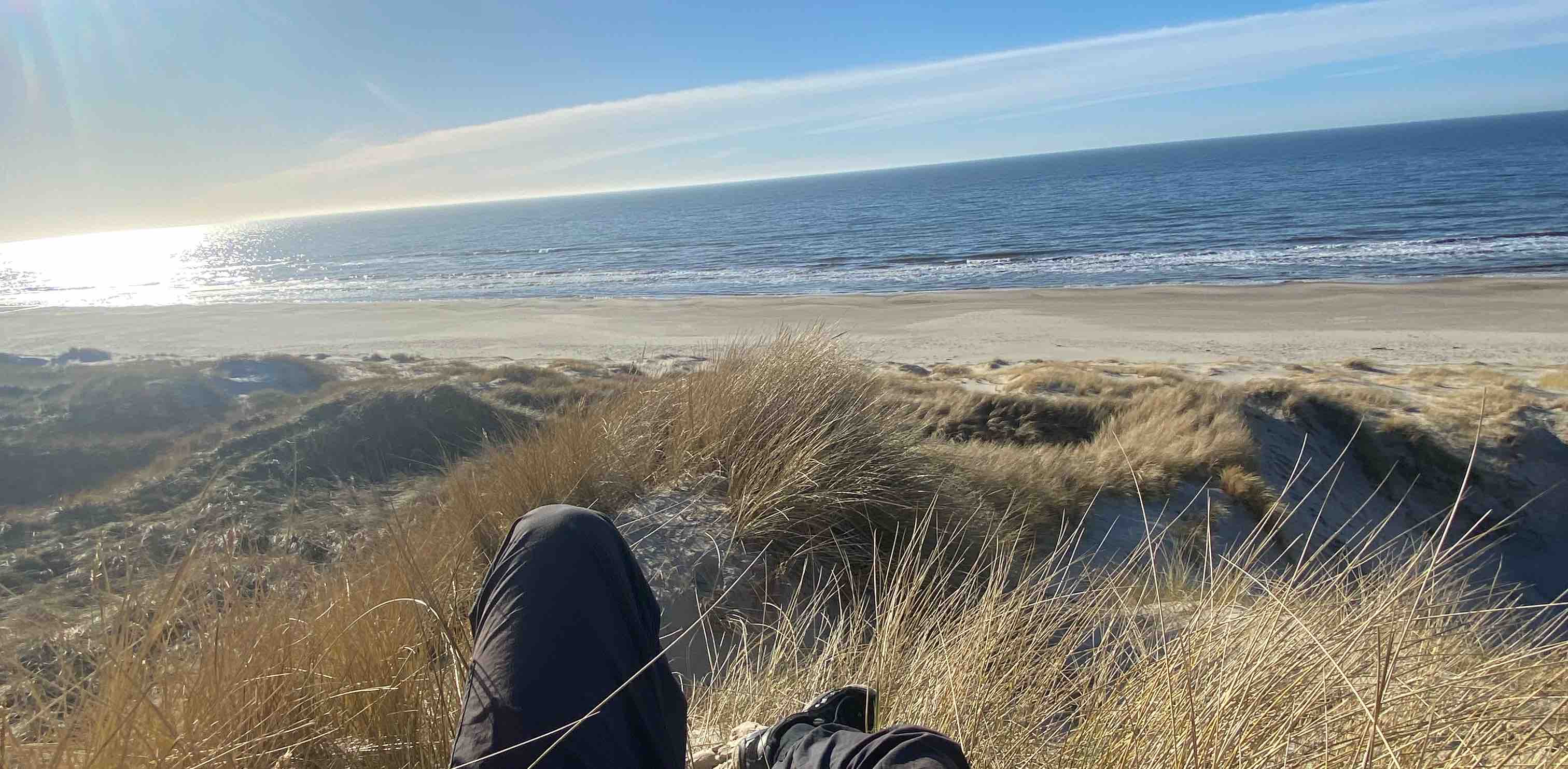 Идущий вдоль моря🌊🇺🇦🇩🇰 banner